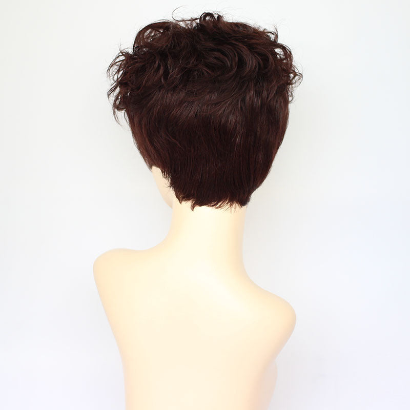 Fashion Wavy Curly Human Hair Wigs for Women