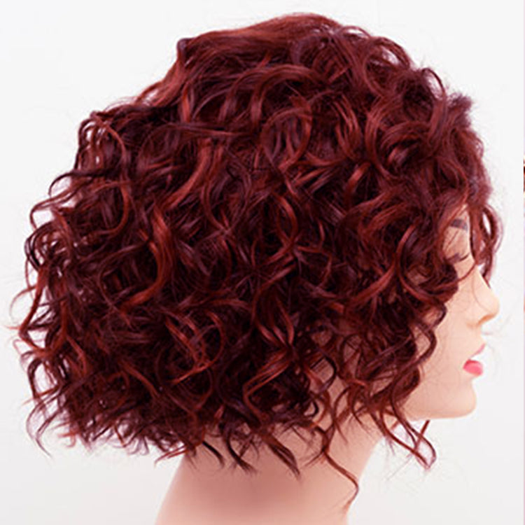 Short Fluffy Curly Clip in Hair Topper for Women