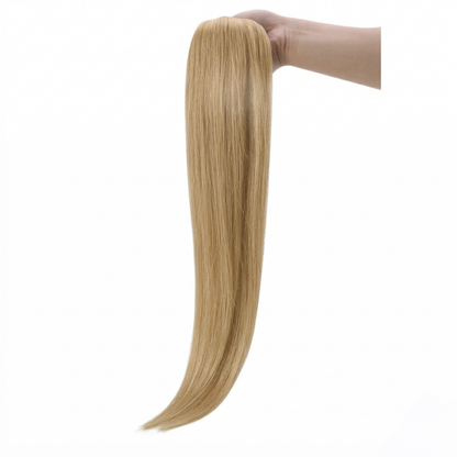 Straight Classic Tape-In Hair Extensions Color #12